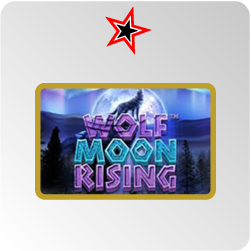 Wolf Moon Rising - test et avis