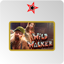 Wild Walker - test et avis