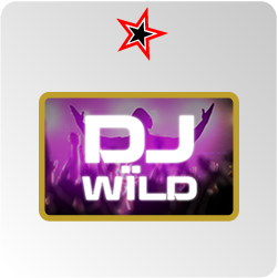 Dj Wild - test et avis