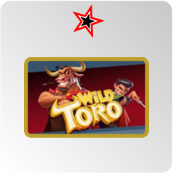 Wild Toro - test et avis