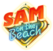 sam on the beach
