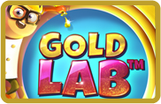 gold lab