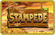 Stampede