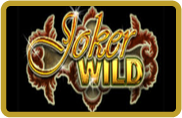 Joker Wild - video poker - NetEnt