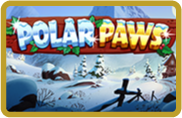 Polar Paws