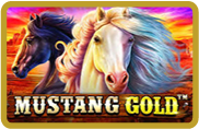 Mustang Gold