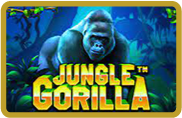 Jungle Gorilla