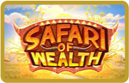 Safari Of Wealth