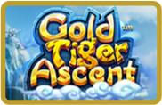 Gold Tiger Ascent