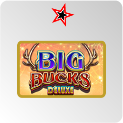 Big Bucks Deluxe - test et avis