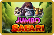Jumbo Safari