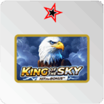 King of the Sky : Hit the Bonus - test et avis