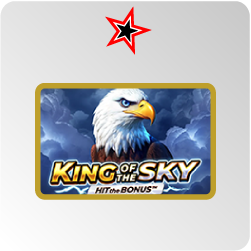 King of the Sky : Hit the Bonus - test et avis
