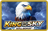 King of the Sky : Hit the Bonus